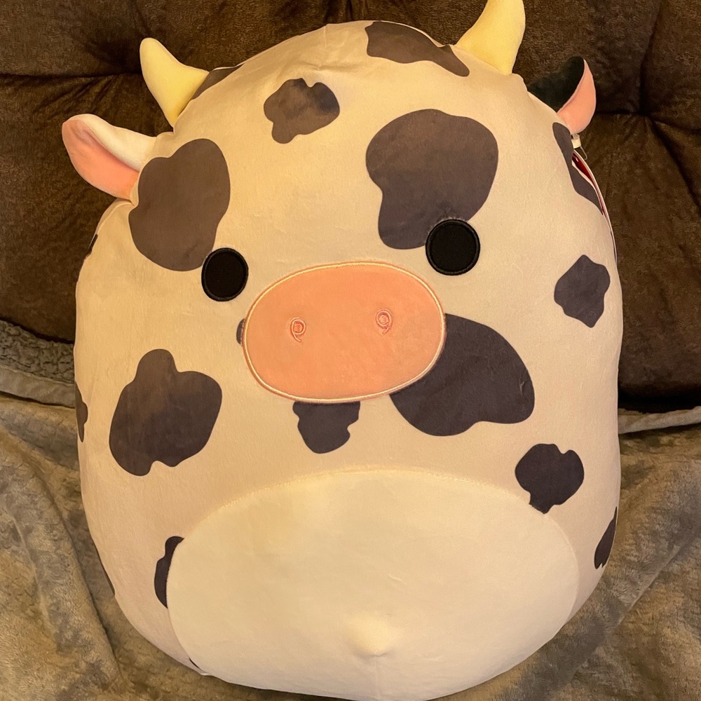 Squishmallow Colin the cow. 16inch huggable cuteness. NWT